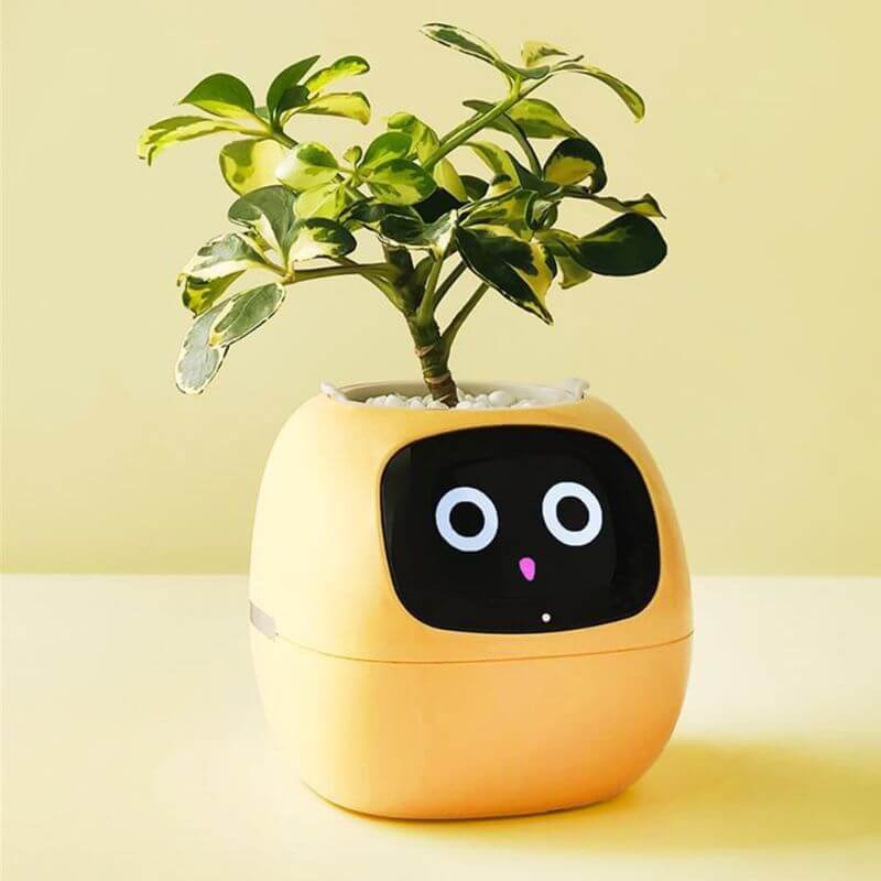 pot-de-fleur-connecte-intelligent-8